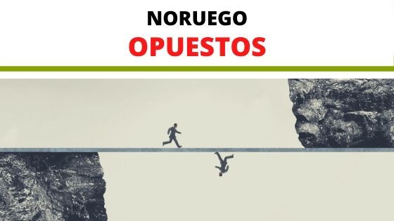 NORUEGO-ESPAÑOL-VOCABULARIO-OPUESTOS