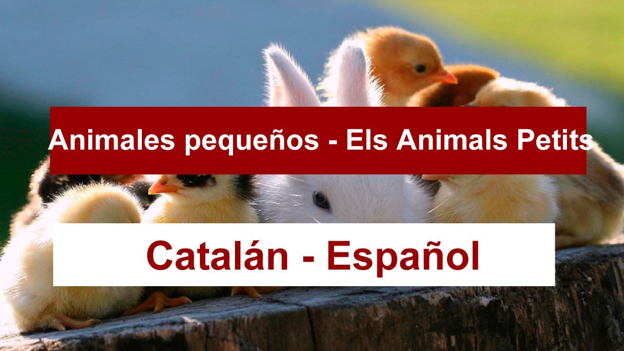 animales-en-catalan
