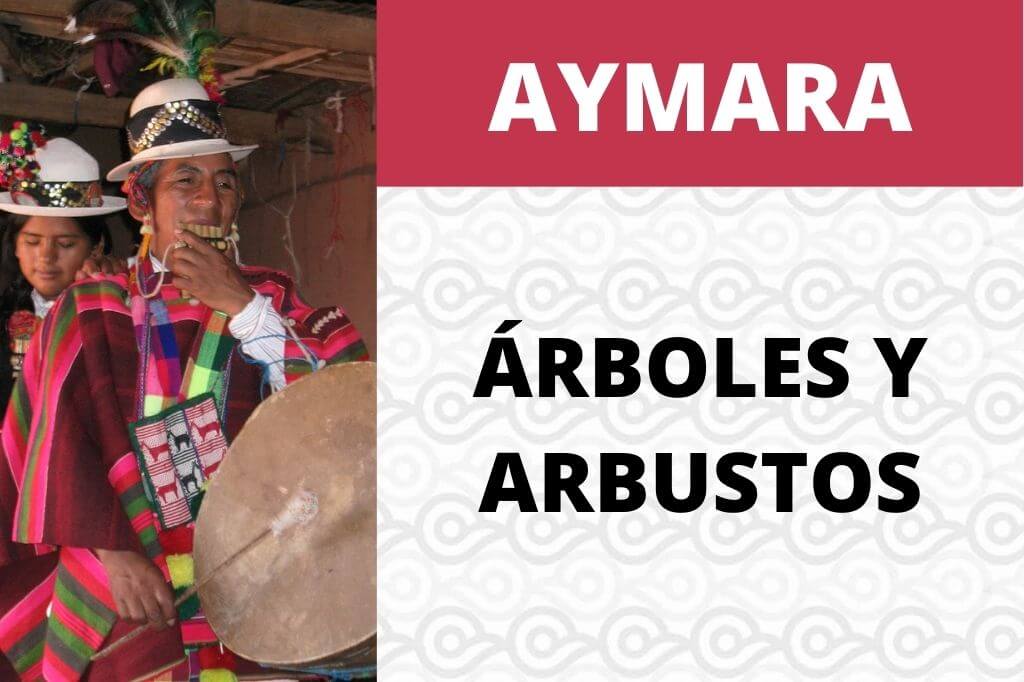 VOCABULARIO ARBOLES Y ARBUSTOS