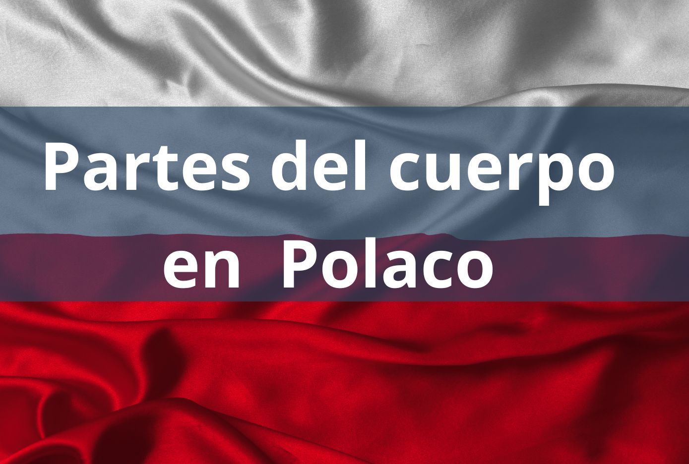 partes del cuerpo en polaco