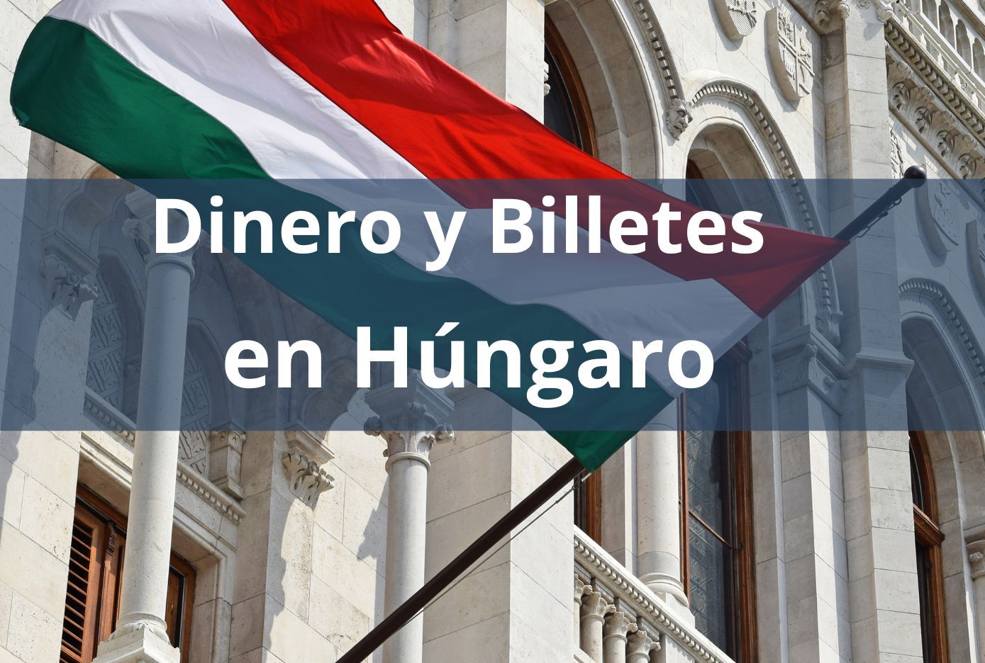 dinero en hungaro