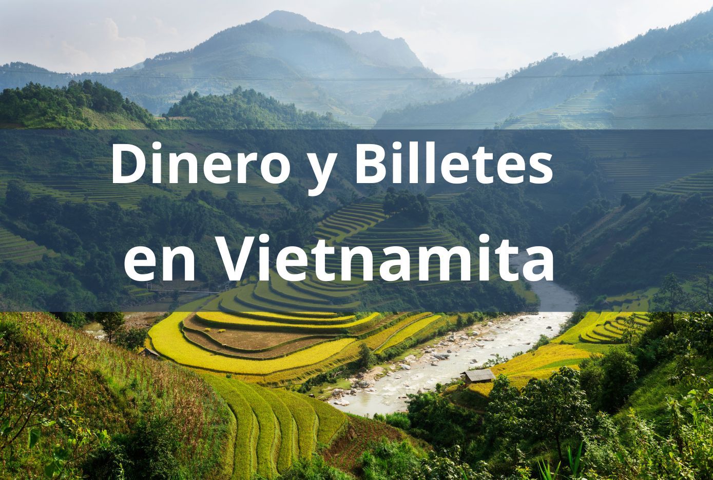 dinero en vietnamita