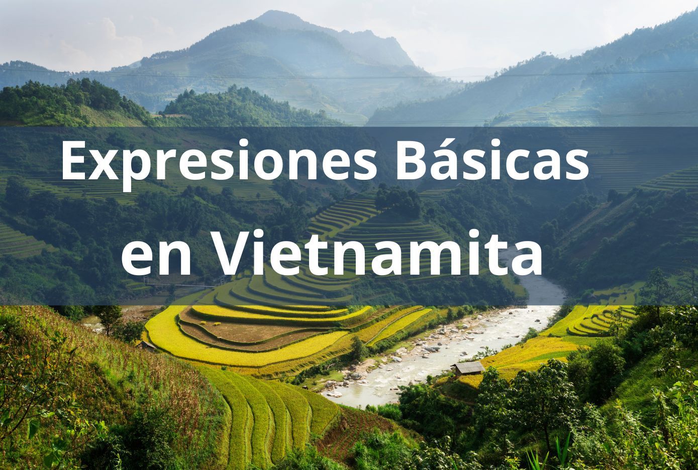 expresiones en vietnamita