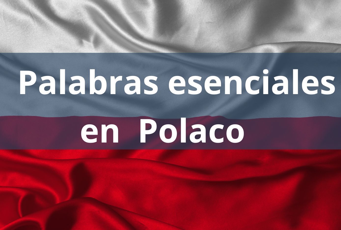 palabras basicas en polaco