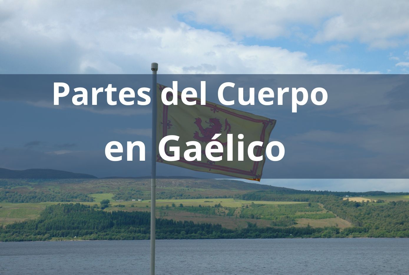 partes del cuerpo en gaelico