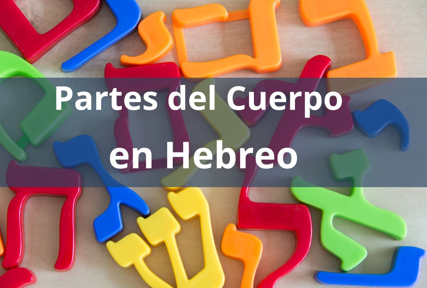 partes del cuerpo en hebreo