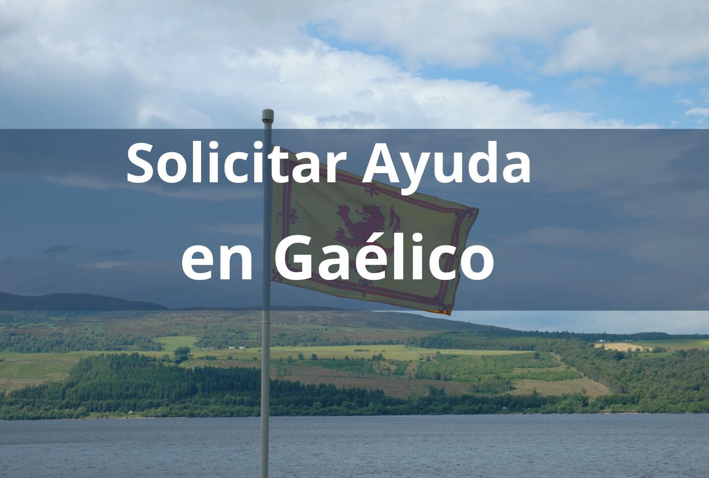 como pedir ayuda en gaelico