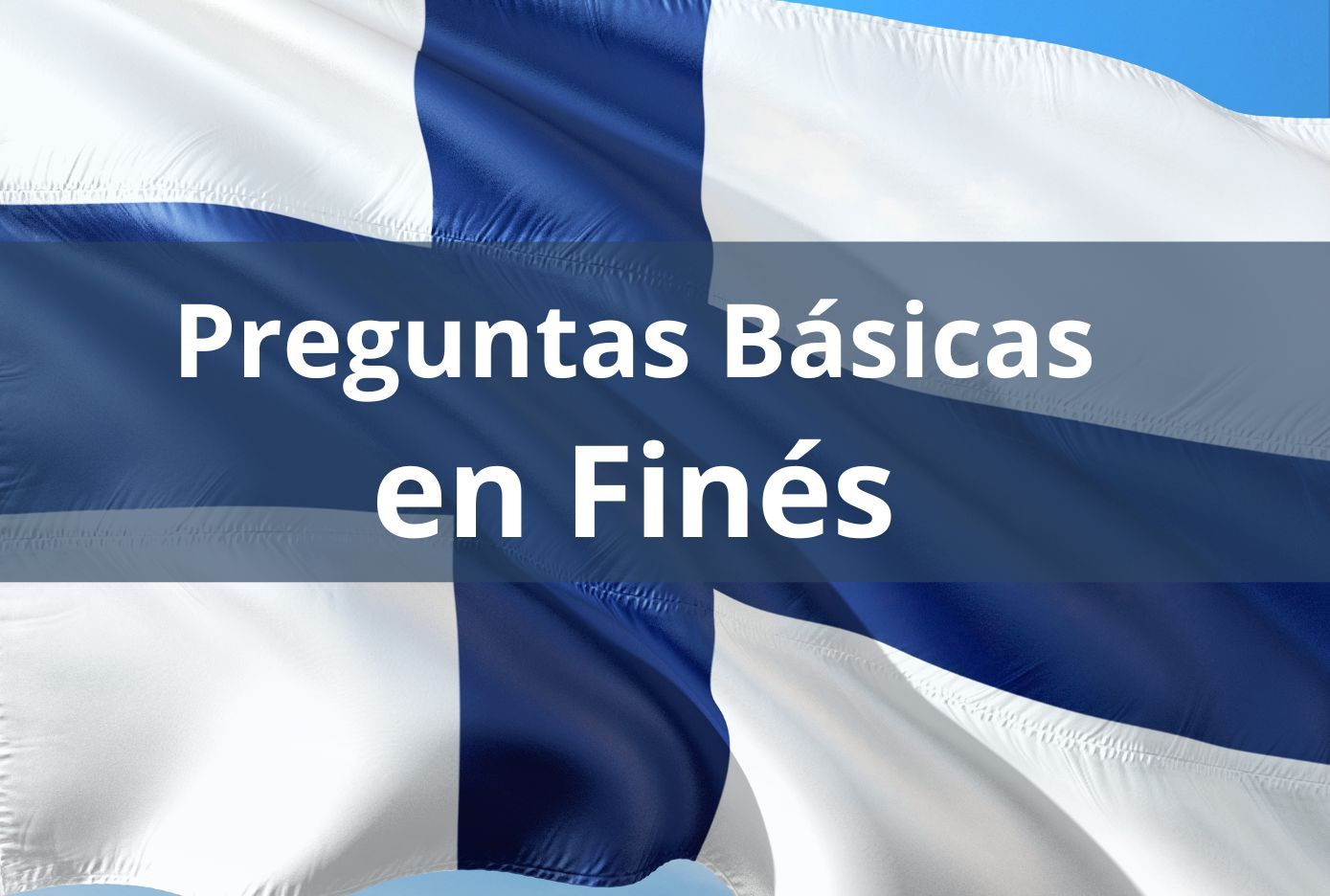 preguntas básicas en fines