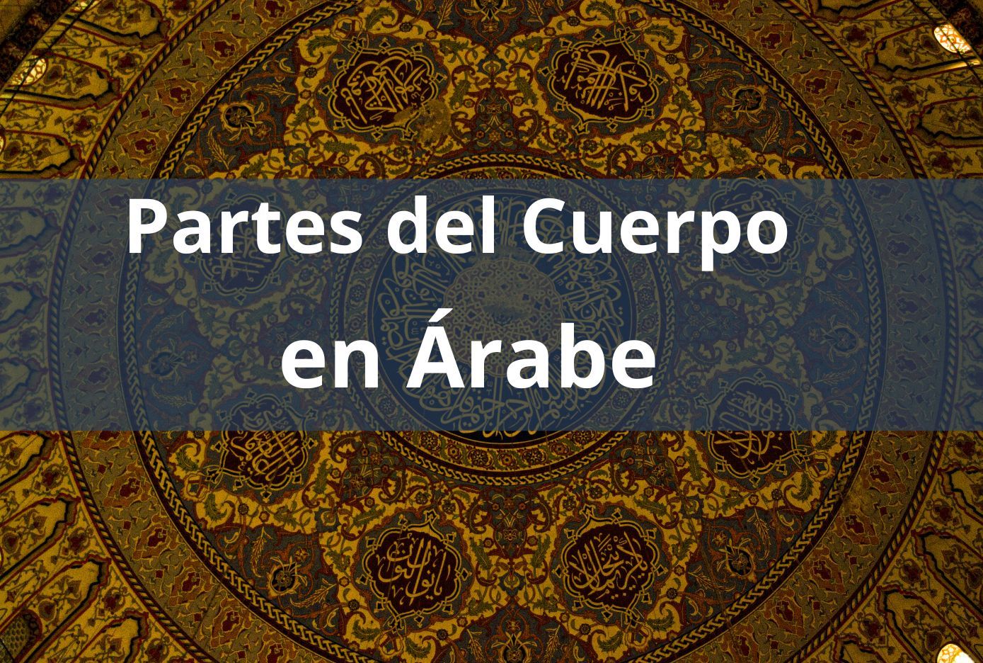 partes del cuerpo en arabe