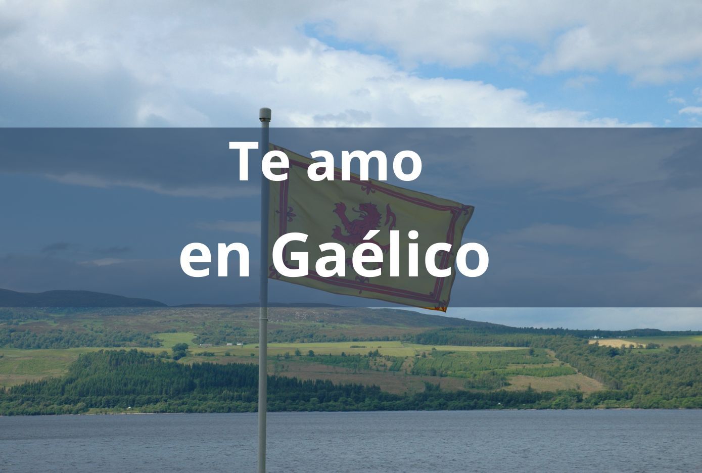 te amo en gaelico