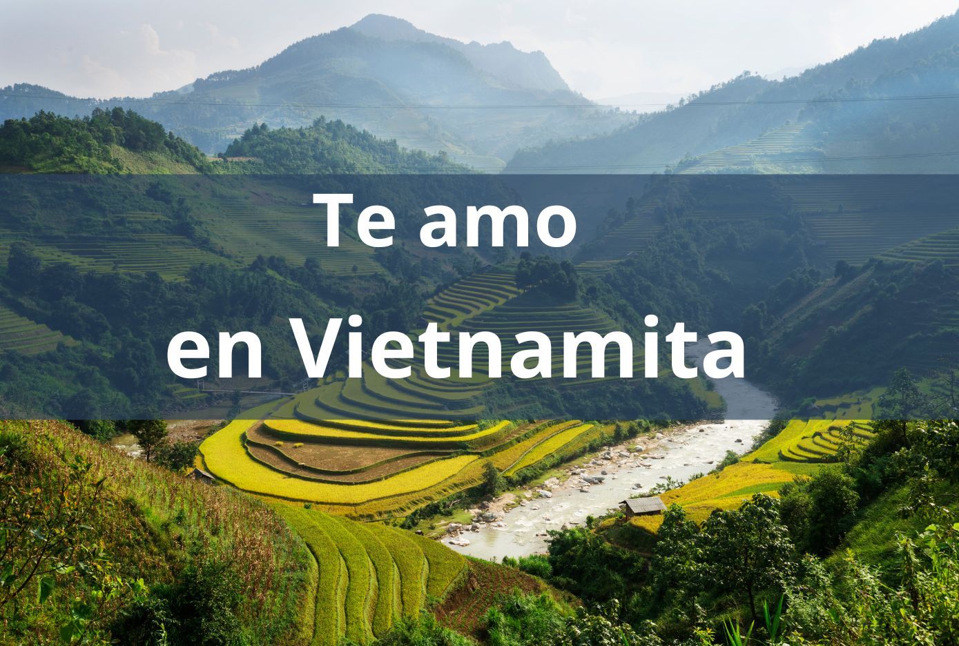 te amo en vietnamita