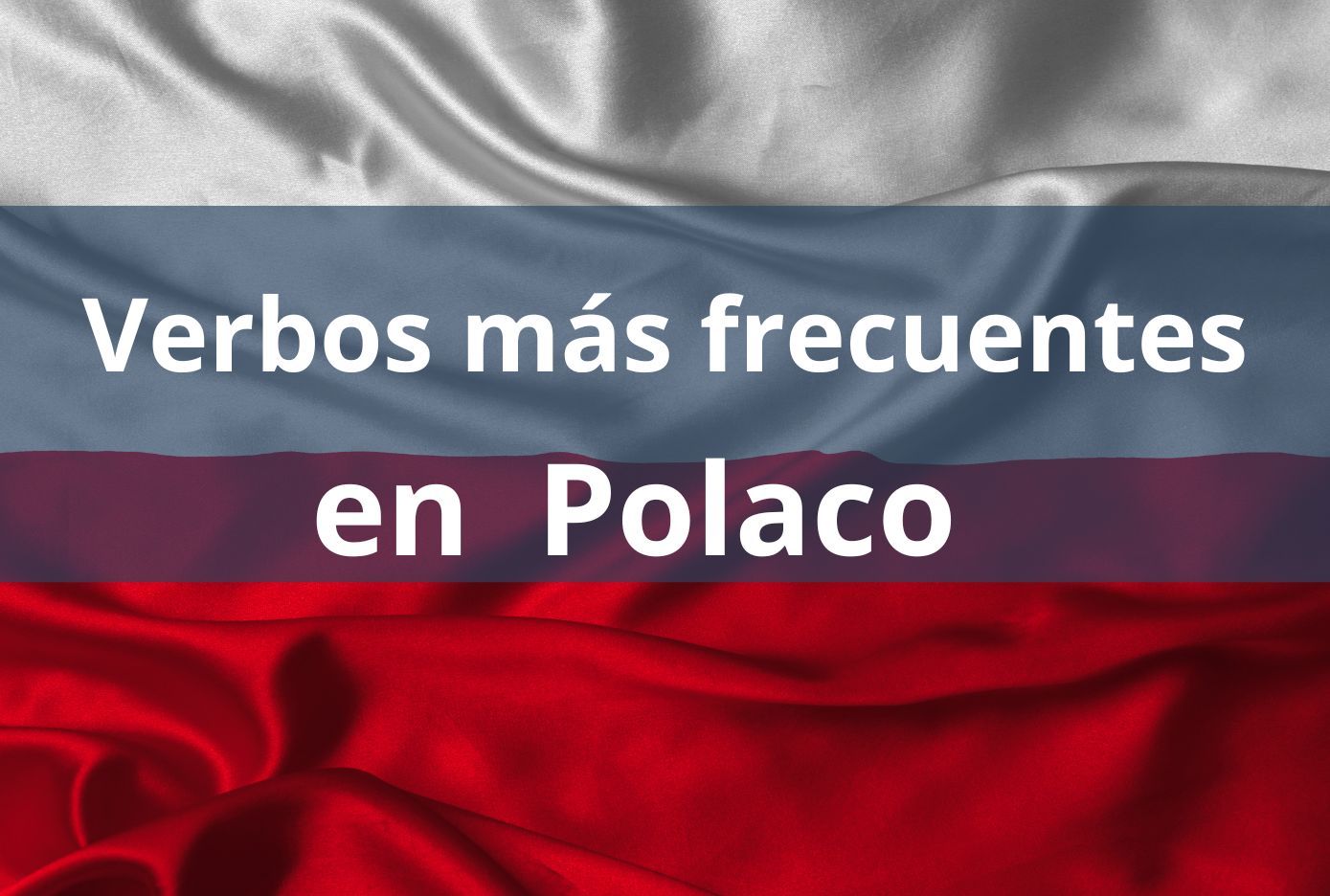 verbos en polaco