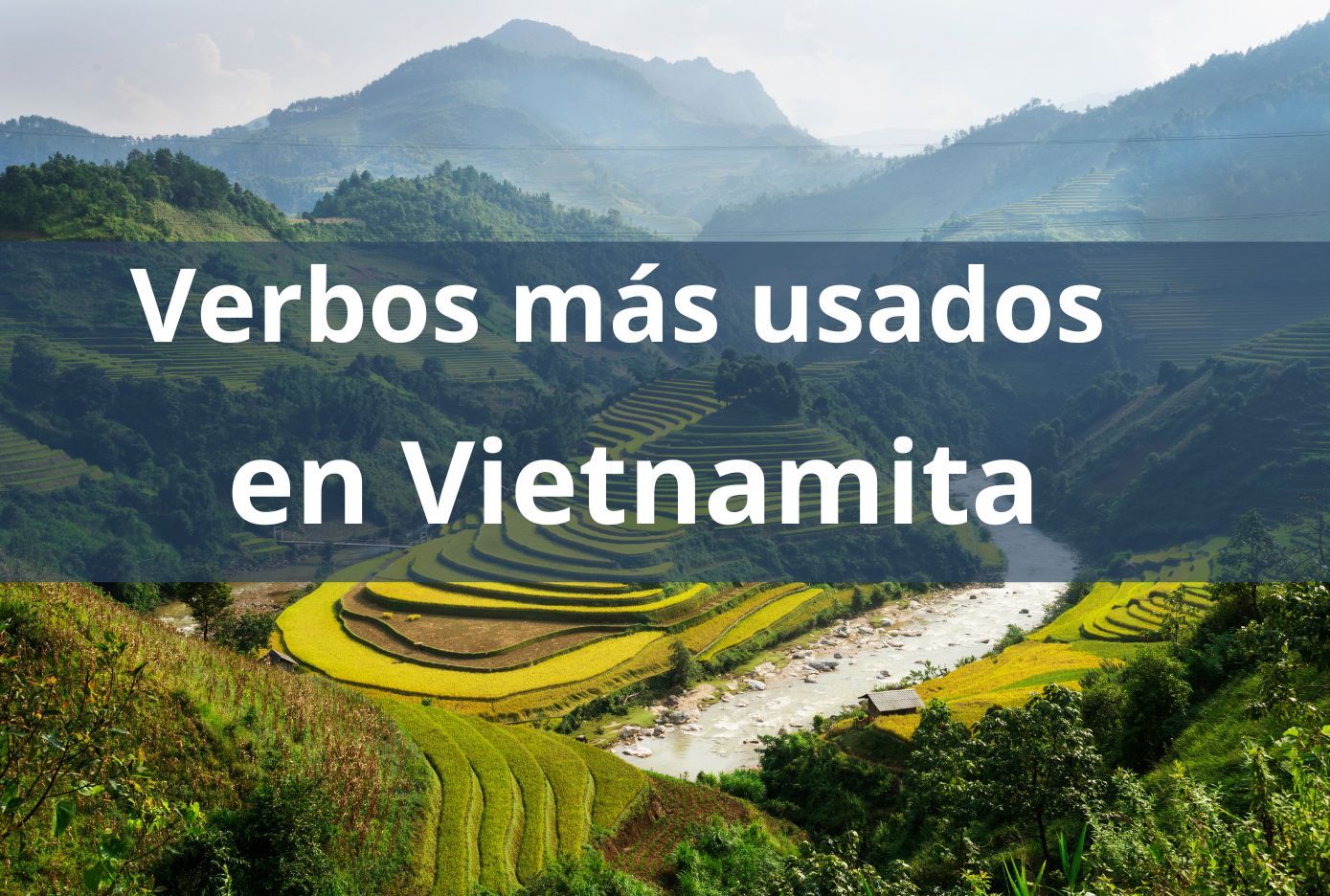 verbos en vietnamita